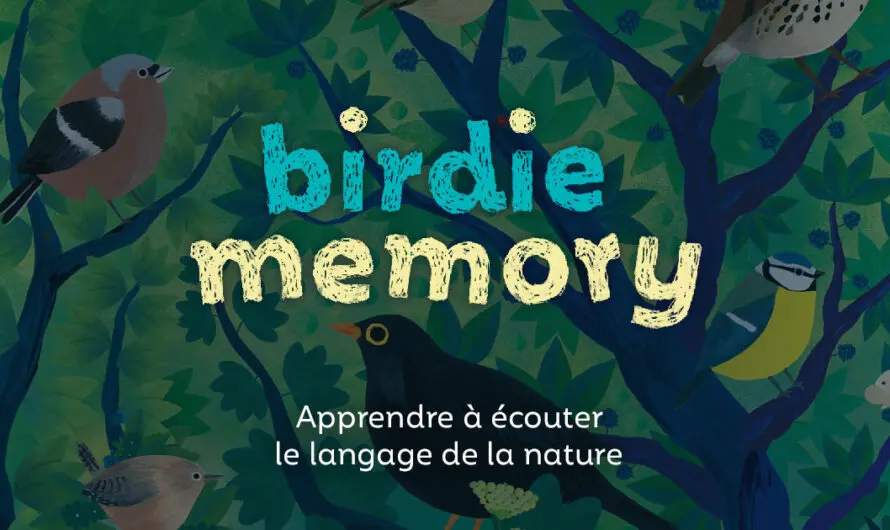 Une expérience enchanteresse avec Birdie Memory et le chant des oiseaux