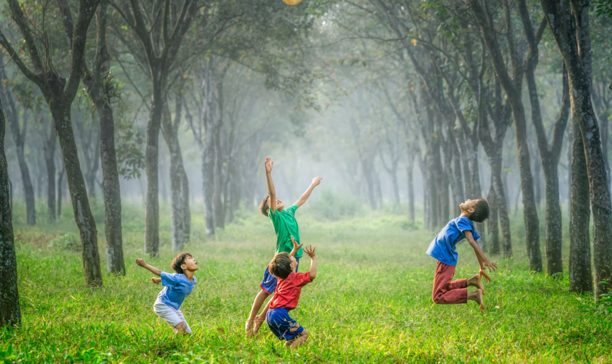 Les jeux pour enfants en 2024 : innovation, apprentissage et sécurité